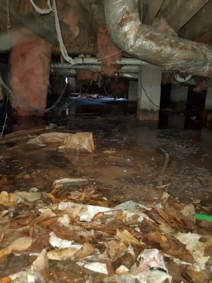 Crawl space flood assessment for Commercial Water Damage Restoration in Ellicott City
